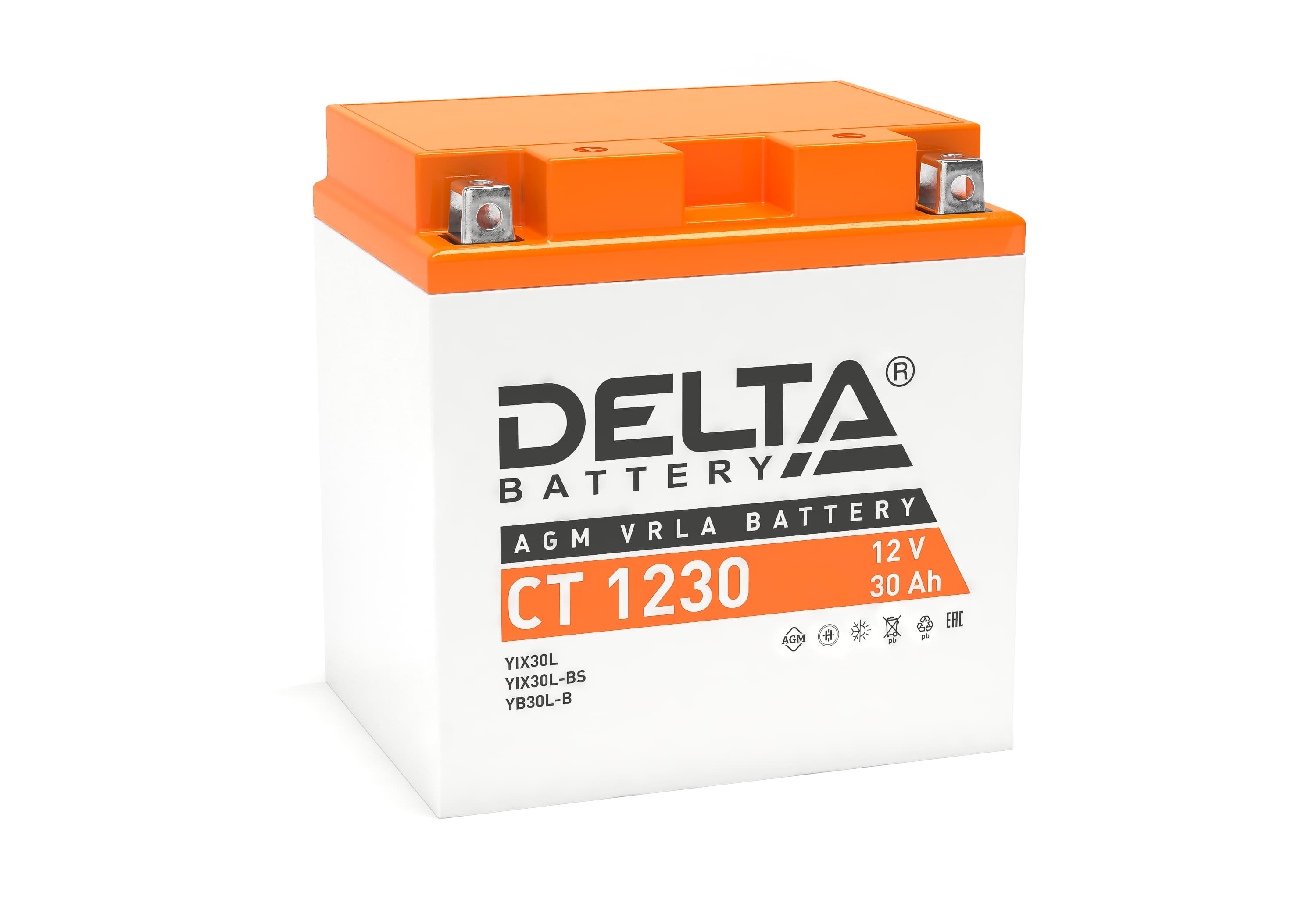 CT 1230 Delta Аккумуляторная батарея купить по цене 8398 руб..  Самые дешёвые цены на Для мототехники
