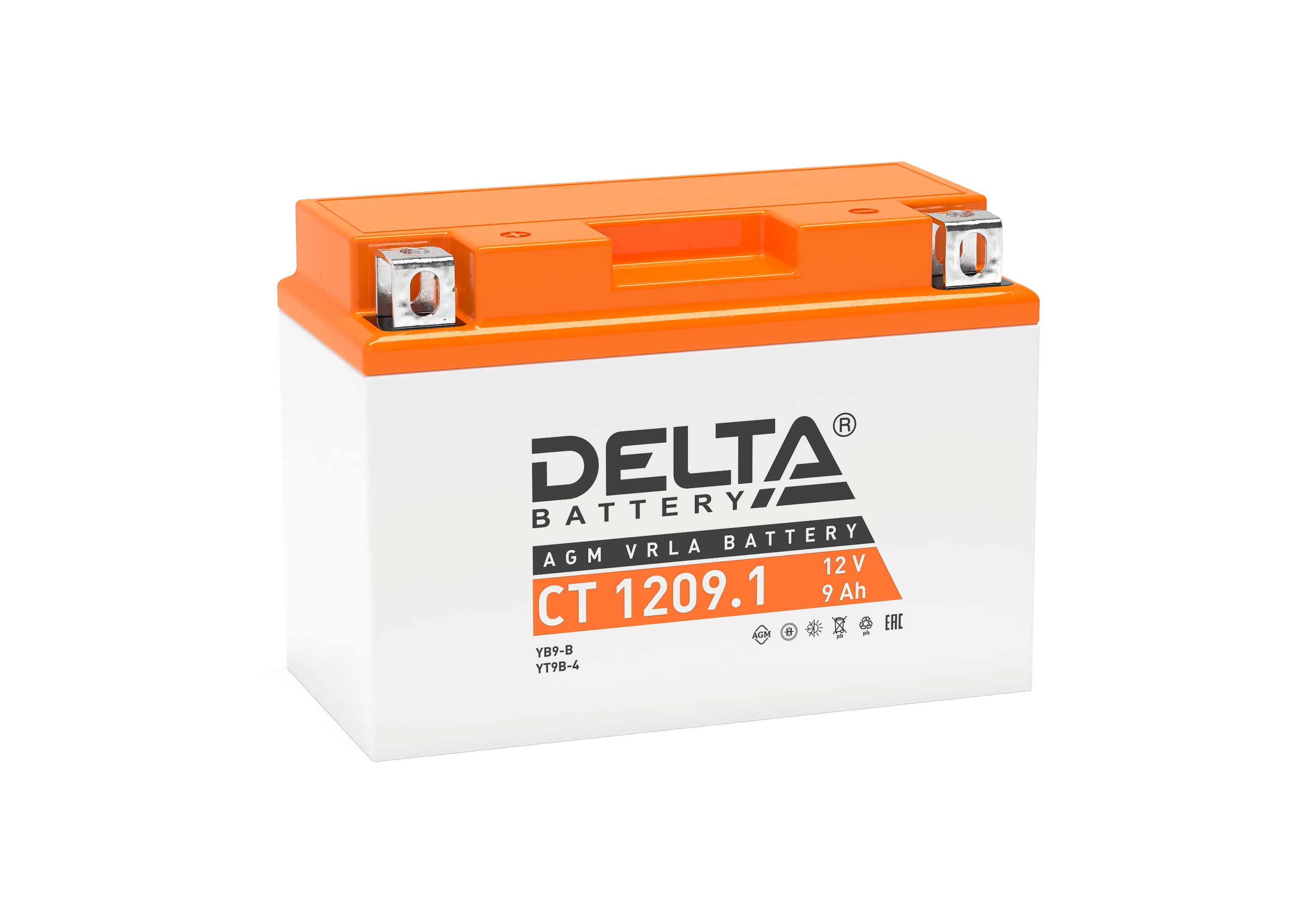 CT 1209.1 Delta Аккумуляторная батарея купить по цене 3069 руб..  Самые дешёвые цены на Для мототехники