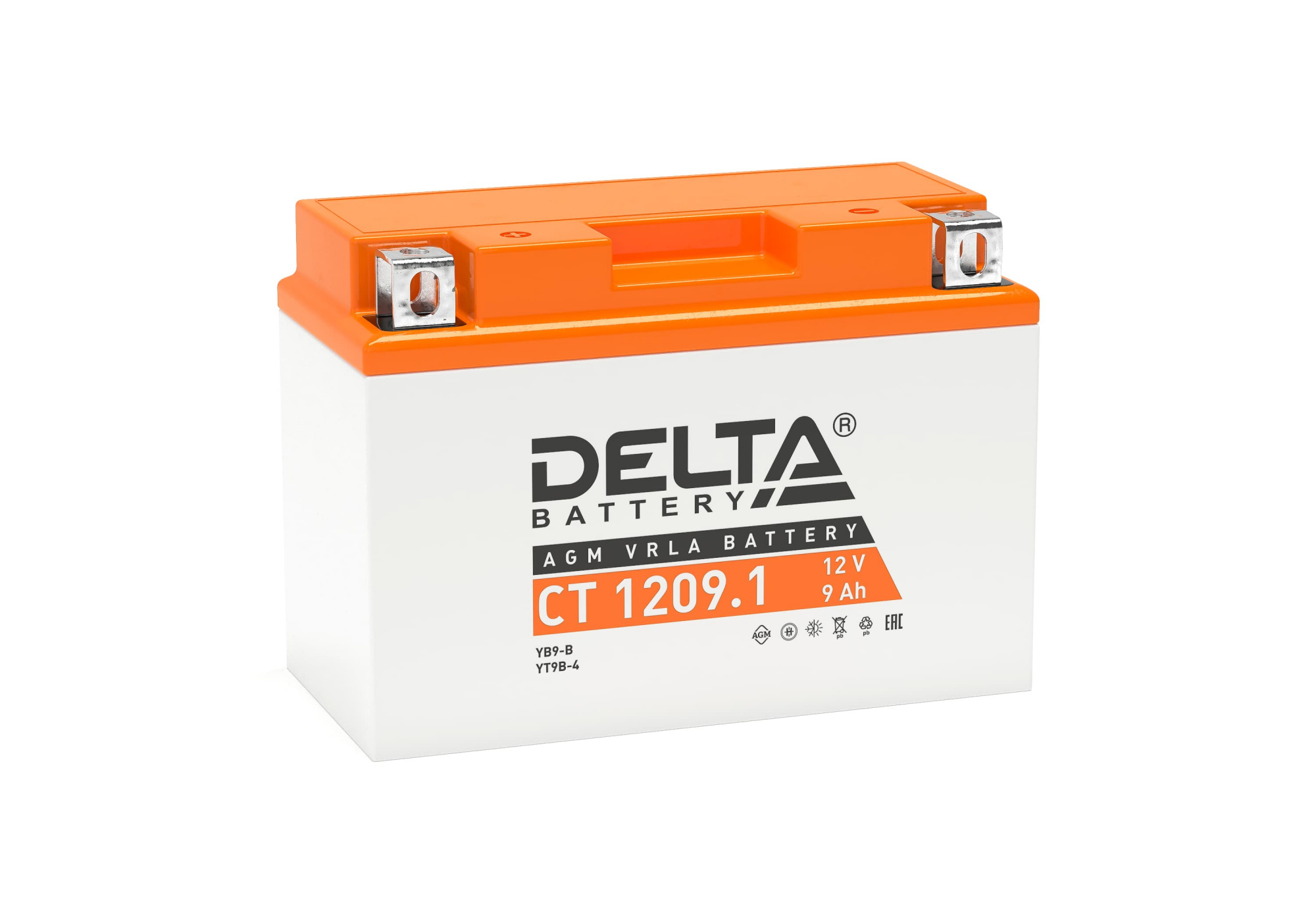 CT 1209.1 Delta Аккумуляторная батарея купить по цене 3069 руб..  Самые дешёвые цены на Для мототехники